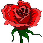 rosehead